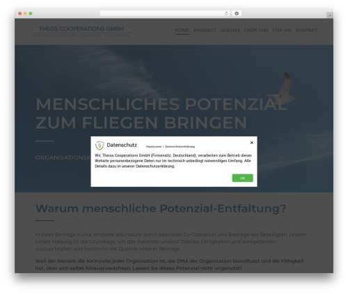 WordPress theme Divi - theiss-co.com