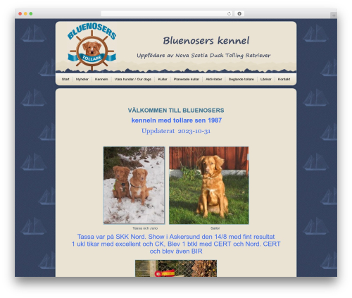 bluenosers theme WordPress - bluenosers.se/sv
