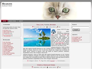 Cats Grey premium WordPress theme by http://www.wordpressthemes.es