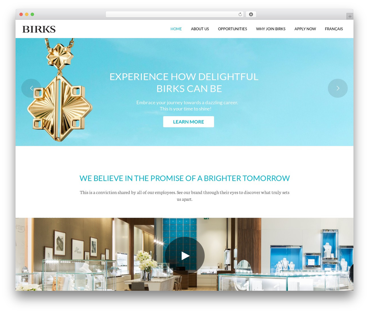 Daylight theme WordPress - birkscareers.com