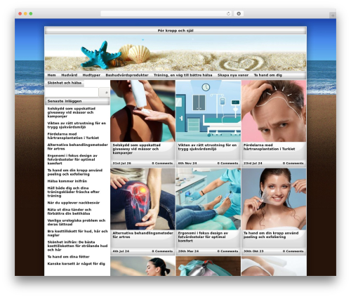 Exact theme WordPress - bra-hudvard.se