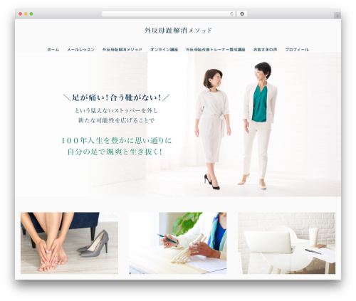 Theme WordPress ystandard - shiseibijin.com