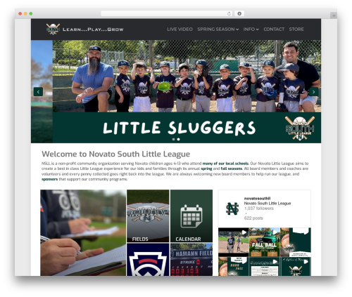 Awesome weather pro WordPress plugin - novatosouthlittleleague.com