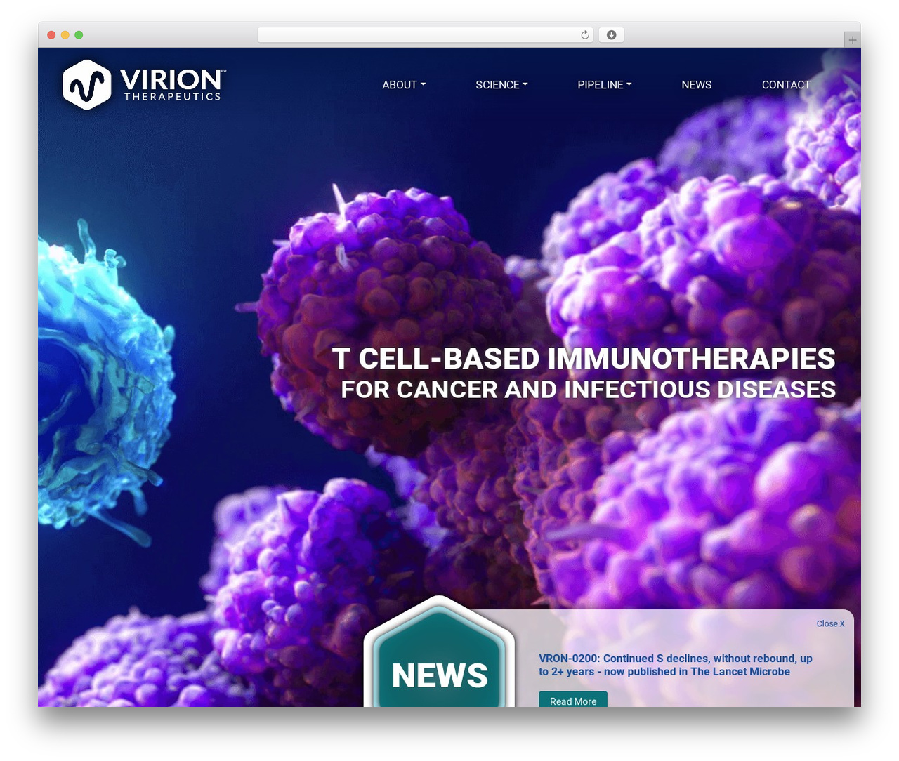 virion WP Theme theme WordPress - viriontx.com virion WP Theme theme WordPress - viriontx.com