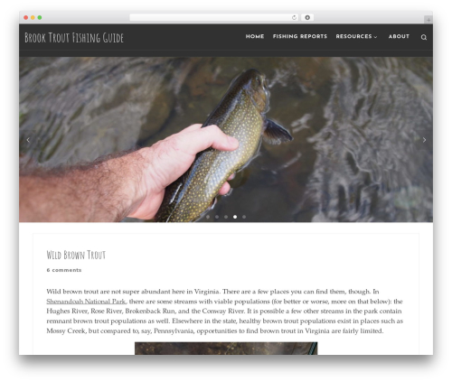 USGS Steam Flow Data (usgs-stream-flow-data) free WordPress plugin - brooktroutfishingguide.com USGS Steam Flow Data (usgs-stream-flow-data) free WordPress plugin - brooktroutfishingguide.com