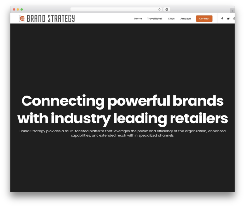 Bezel WP WordPress theme - brandstrategyusa.com
