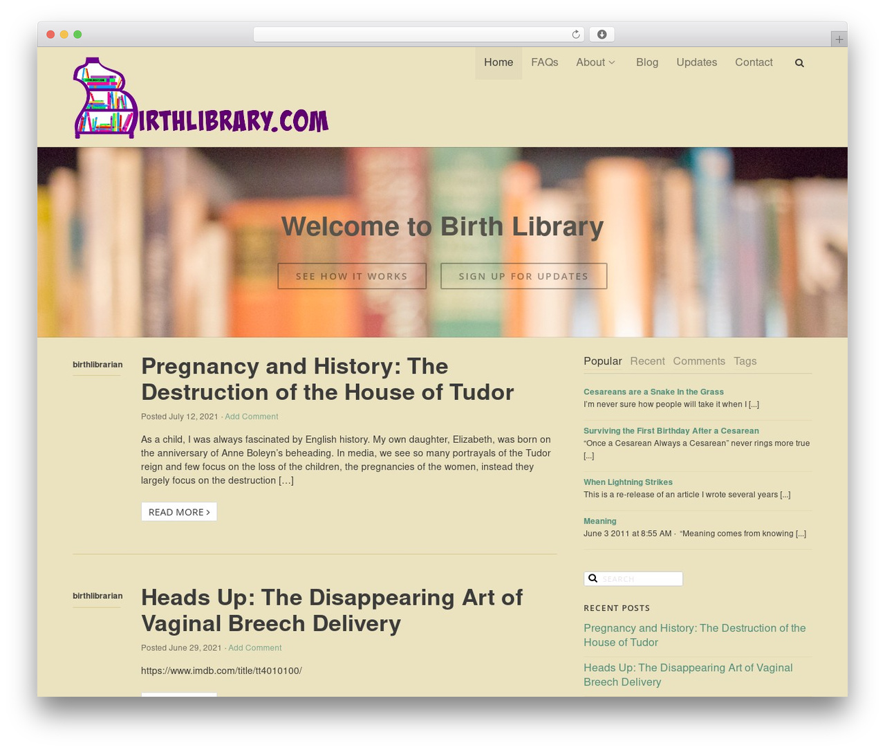 DMS WordPress theme - birthlibrary.com