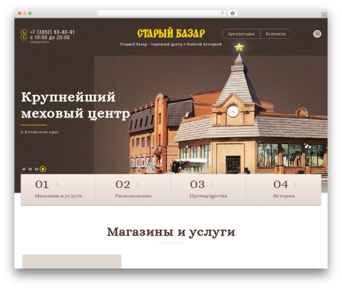 Time theme WordPress - staryybazar.ru