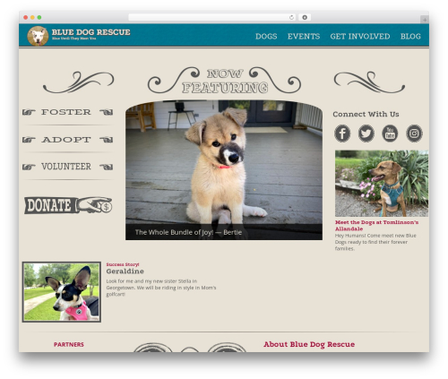 Toolset Bootstrap premium WordPress theme - bluedogrescue.com