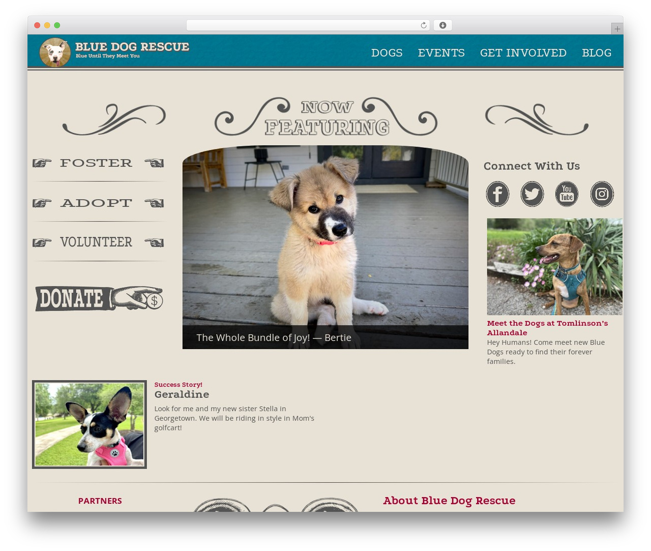 Toolset Bootstrap premium WordPress theme - bluedogrescue.com Toolset Bootstrap premium WordPress theme - bluedogrescue.com