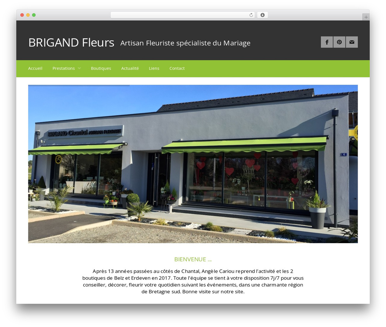 WordPress theme Converio - brigand-fleur.fr