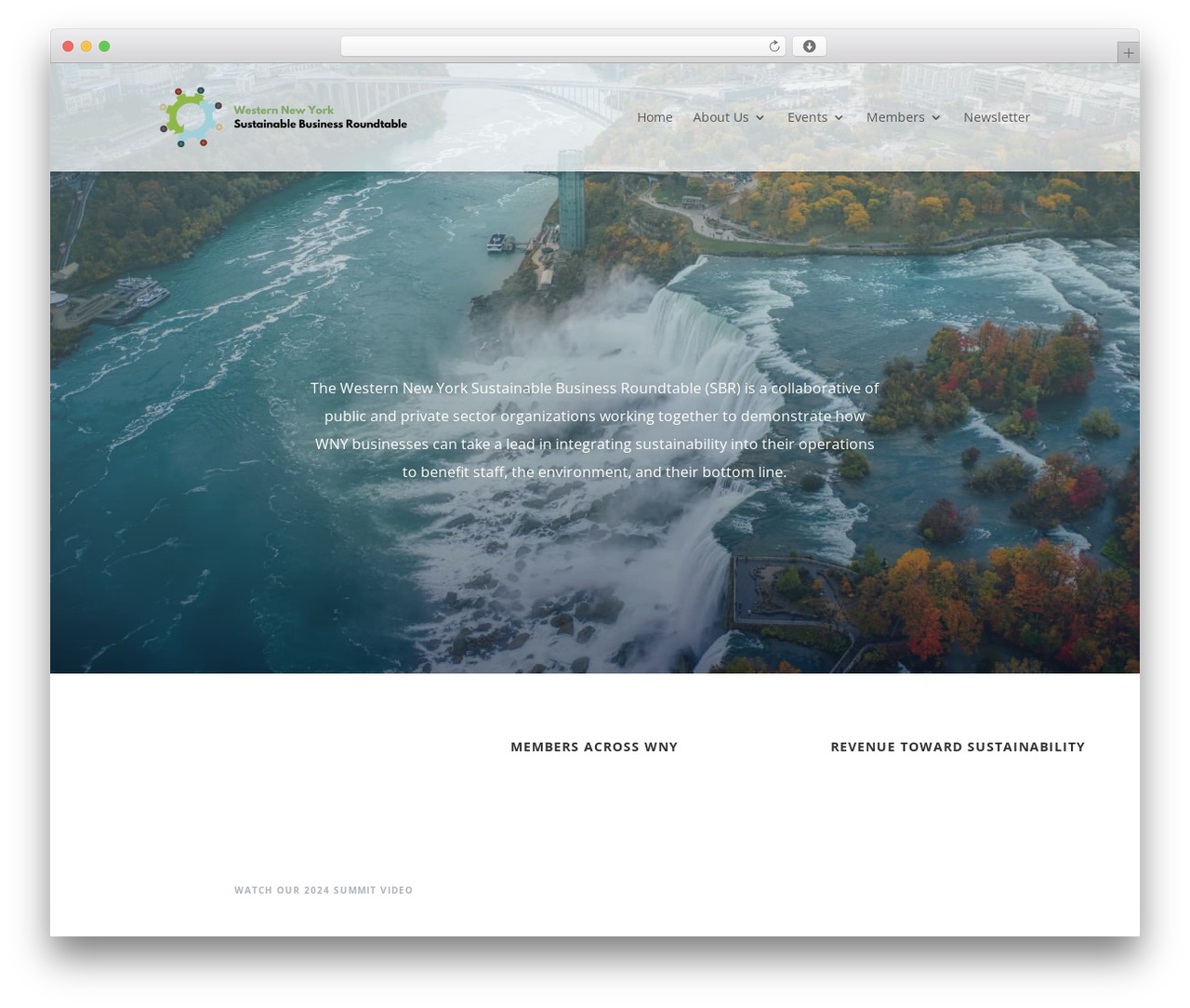 WordPress theme Divi - wnysustainablebusiness.org