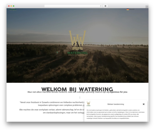 WordPress theme Hello Elementor - waterking.nl