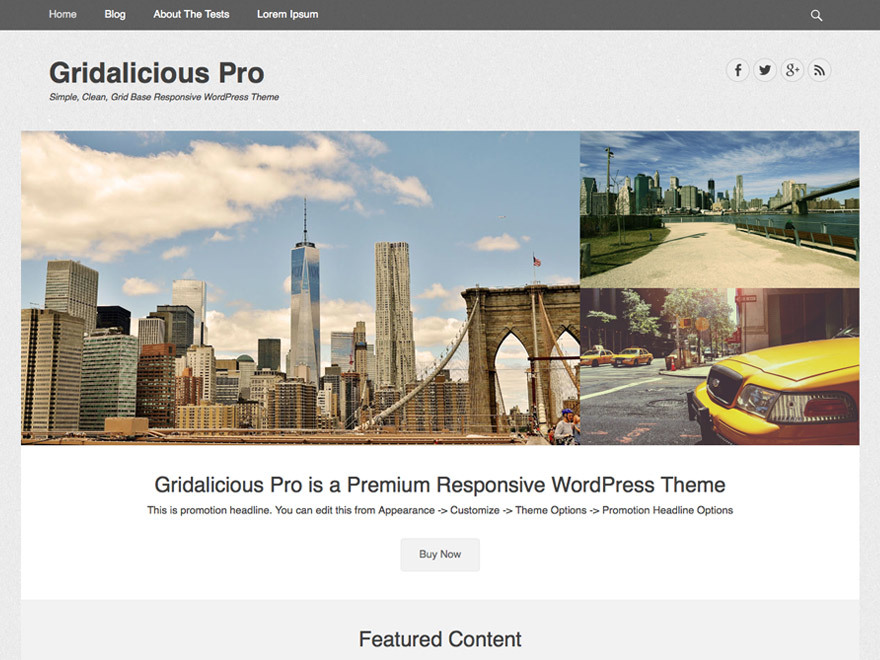 Gridalicious Pro WordPress page template