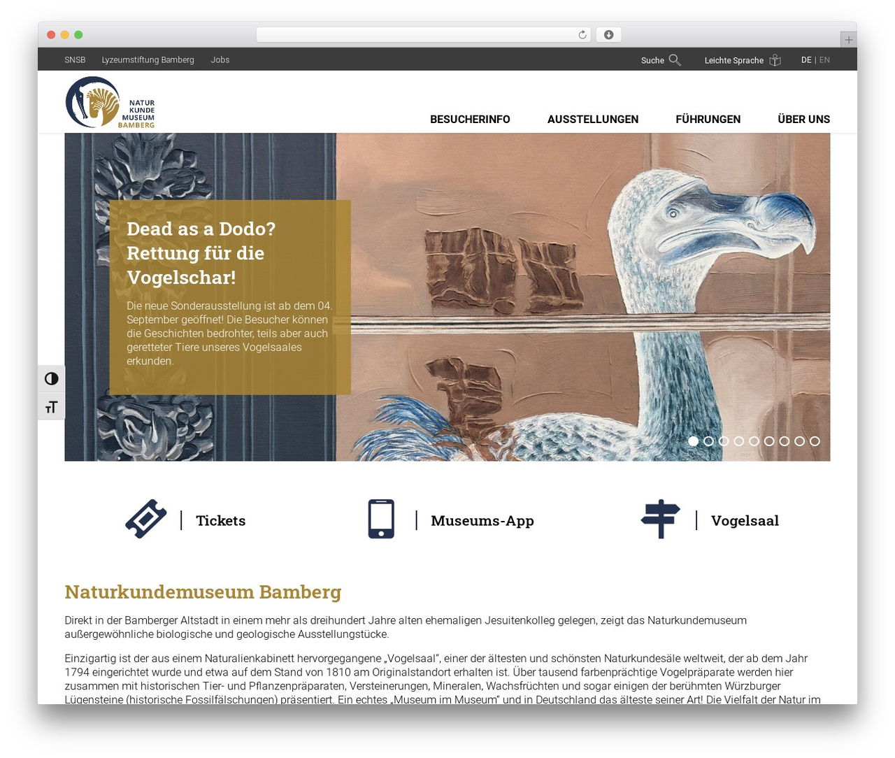 MMC THEME WordPress theme - naturkundemuseum-bamberg.de MMC THEME WordPress theme - naturkundemuseum-bamberg.de