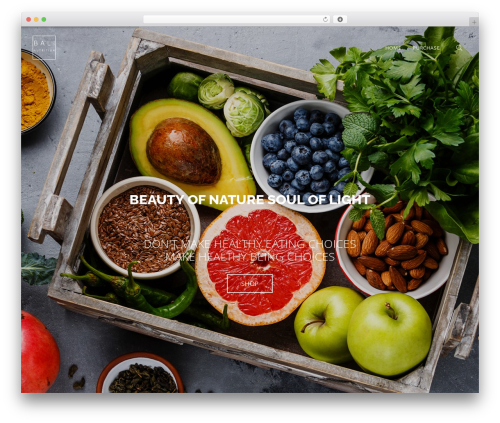 Acoda counters WordPress plugin - balinutrition.com