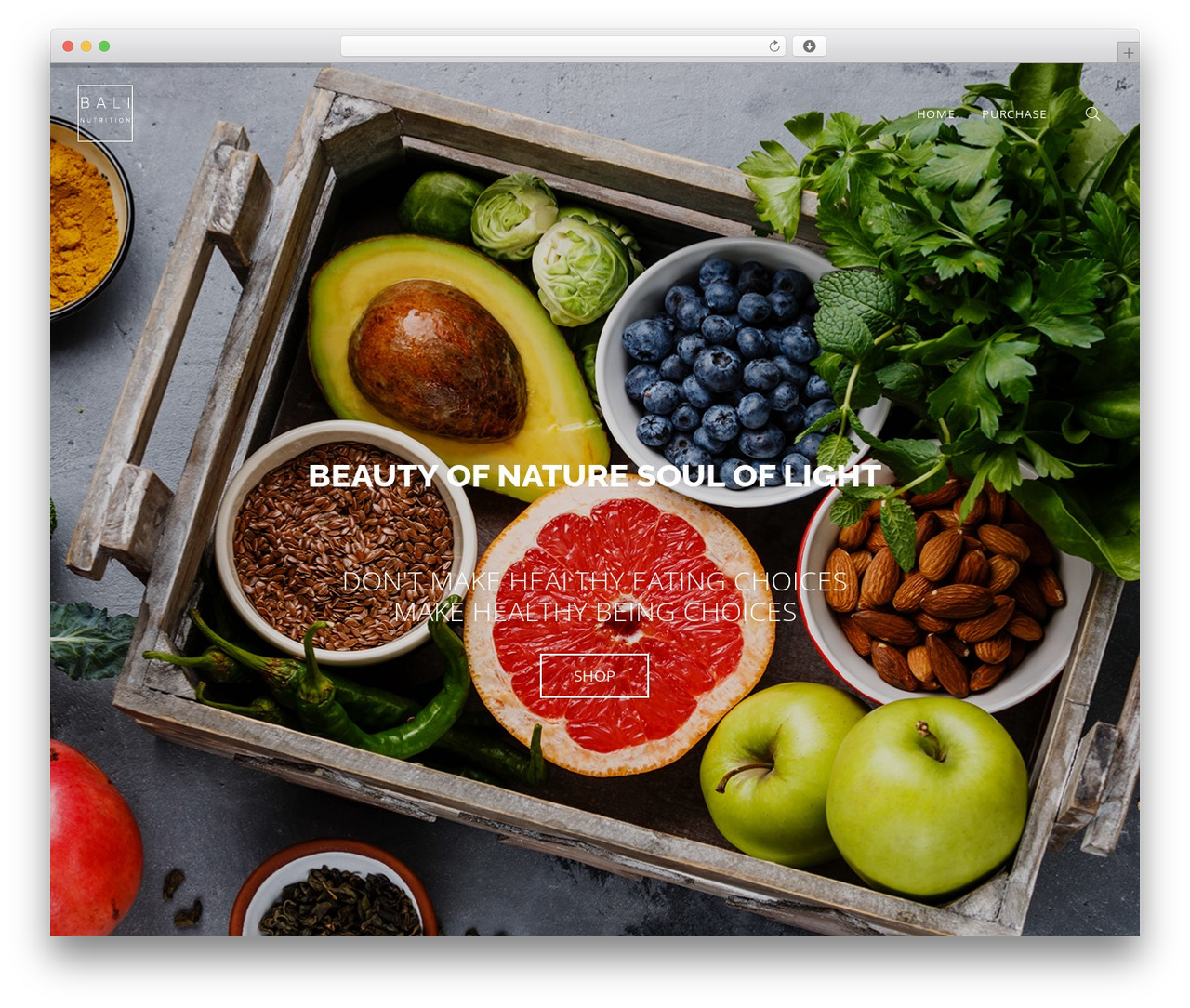 Theme WordPress DynamiX - balinutrition.com Theme WordPress DynamiX - balinutrition.com