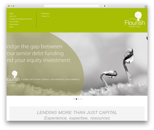 WordPress theme Architecture - flourishcapital.co.uk