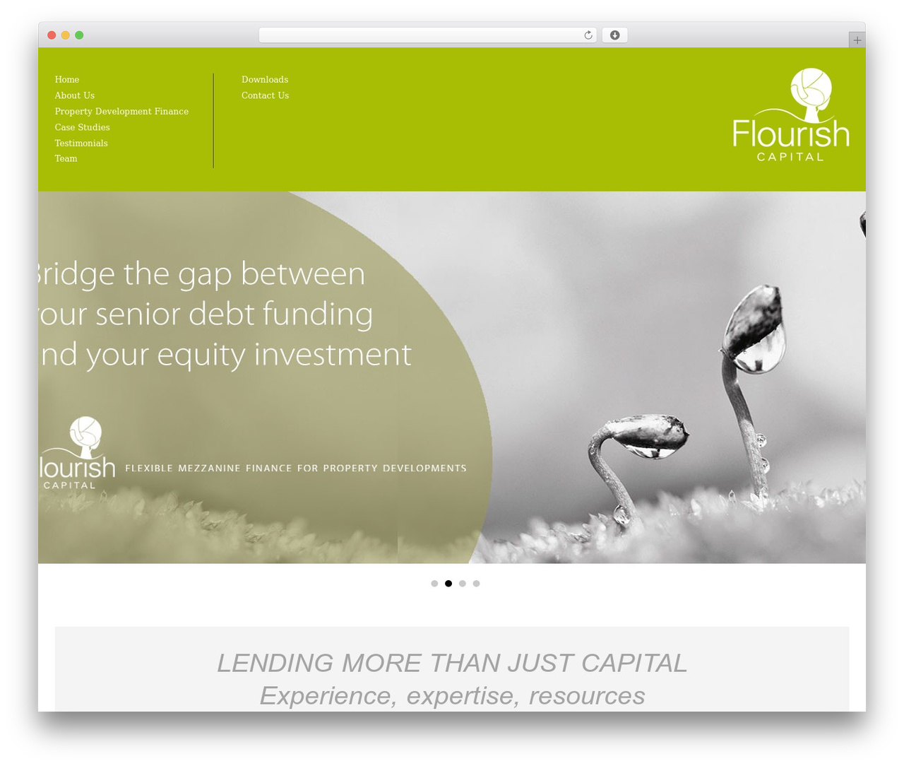 WordPress theme Architecture - flourishcapital.co.uk