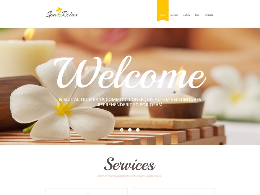 WordPress theme theme53932