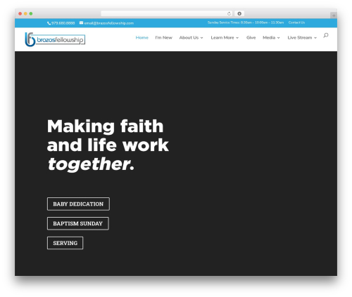 Seriesengine_plugin WordPress plugin - brazosfellowship.com