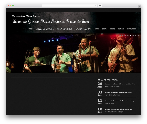 Musicpro WP theme - brandontarricone.com