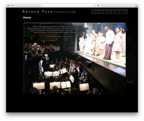 Thematic theme WordPress - bradentoan.com