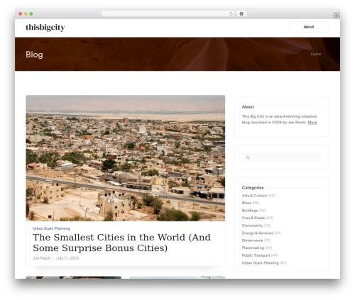Webify WordPress blog theme - thisbigcity.net