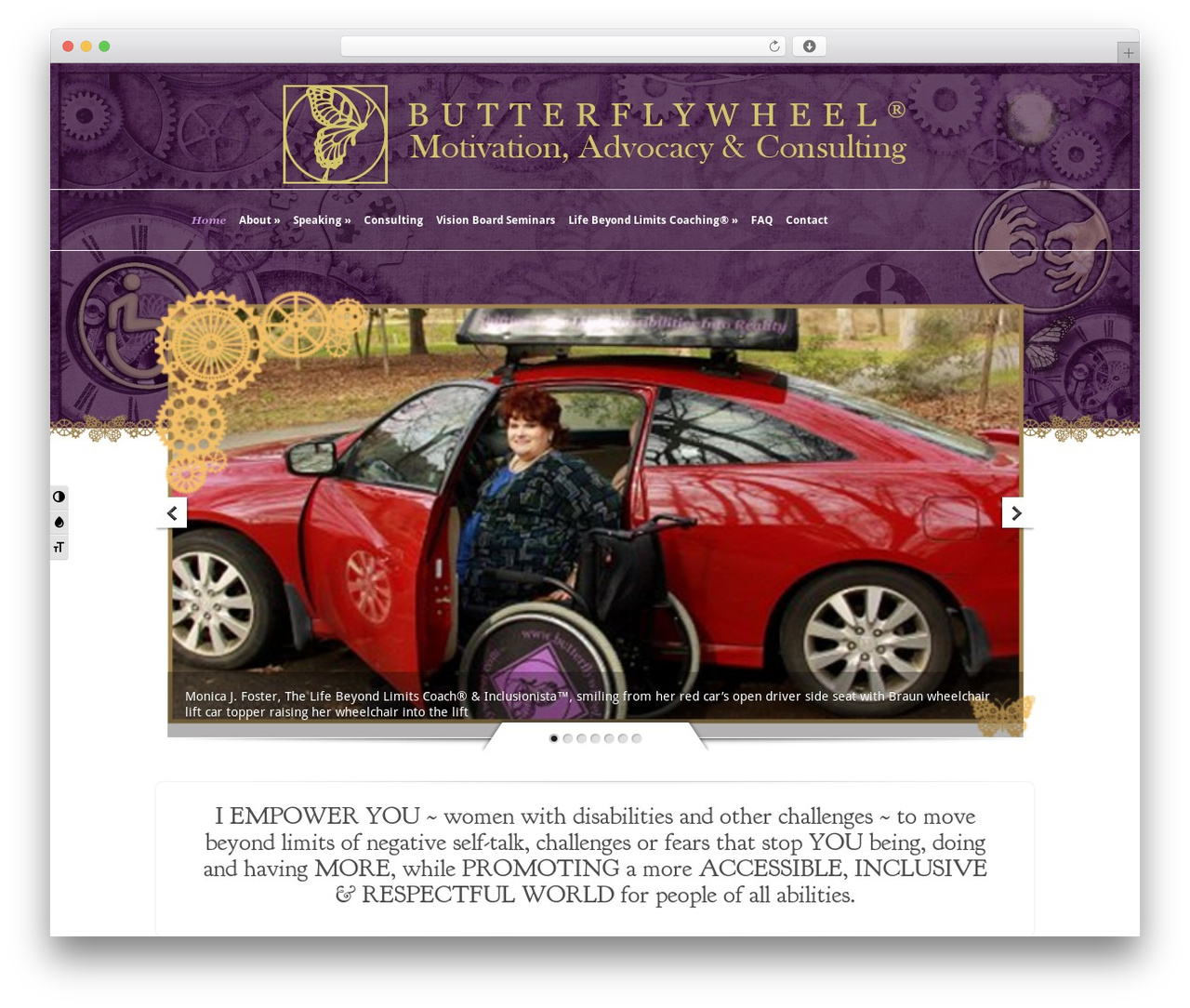 WordPress theme Evolution - butterflywheel.com