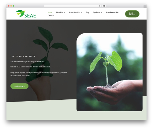 AI content and AI image Creation for WordPress – Bertha AI (bertha-ai-free) free WordPress plugin - seae-embu.org AI content and AI image Creation for WordPress – Bertha AI (bertha-ai-free) free WordPress plugin - seae-embu.org