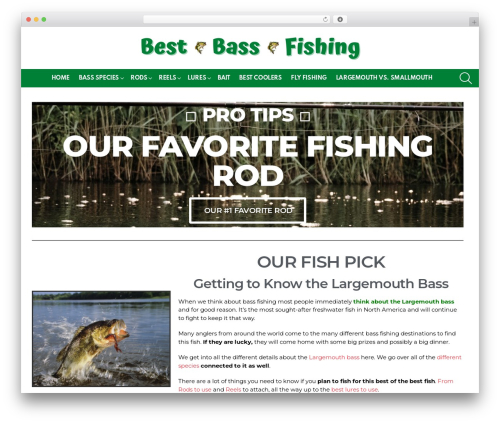 Comment ace WordPress plugin - bestbassfishing.com