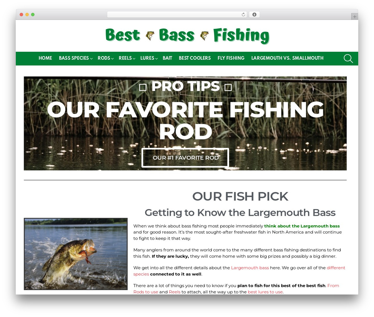 Bimber WordPress theme - bestbassfishing.com Bimber WordPress theme - bestbassfishing.com