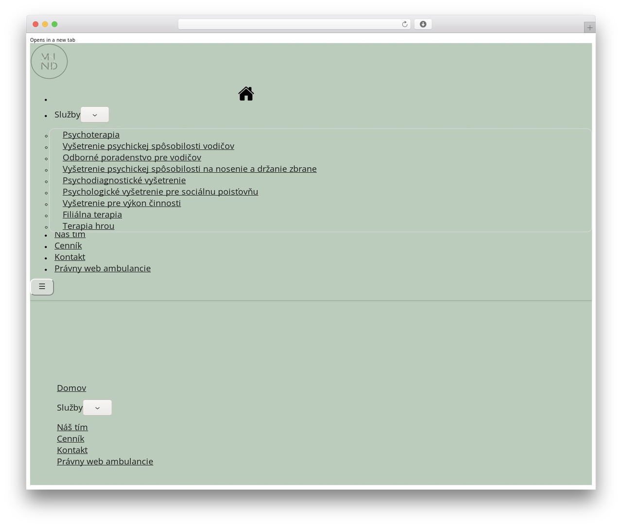 Bricks theme WordPress - www.mindcentrum.sk