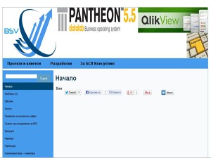 Theme WordPress BSV