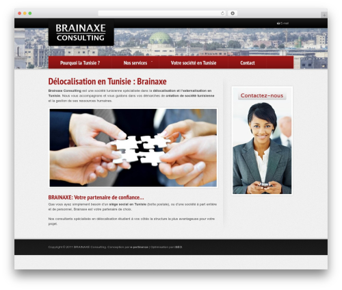WordPress theme Adora - brainaxe.com