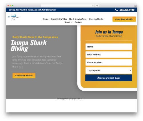 WordPress theme Divi - tampasharkdiving.com