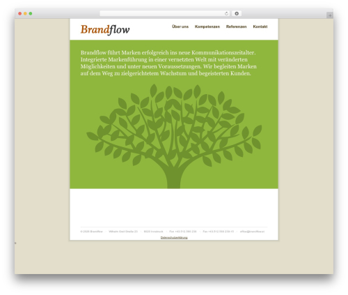Vipers video quicktags WordPress plugin - brandflow.com