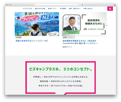 Original theme beta WordPress theme design - bizcampus.biz