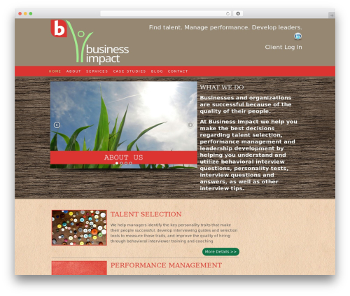responsivedesign WordPress website theme - bizimpact.biz