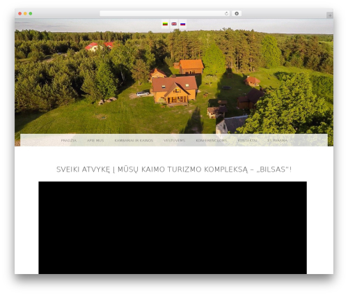 Snaps WordPress theme design - bilsas.lt