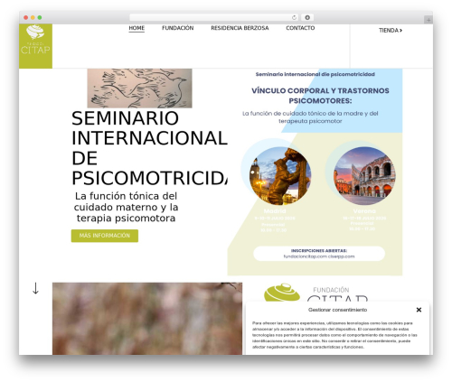 Theme WordPress Hello Elementor - fundacioncitap.com