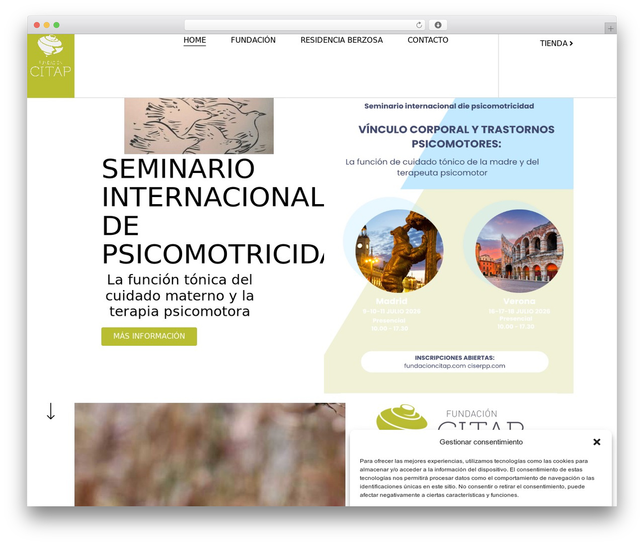 Theme WordPress Hello Elementor - fundacioncitap.com Theme WordPress Hello Elementor - fundacioncitap.com