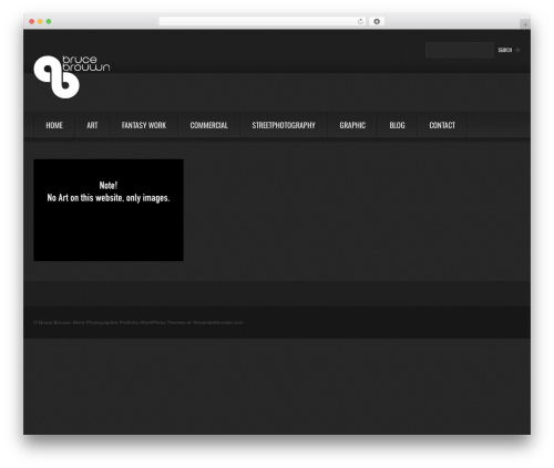 theme1749 WordPress theme image - brucebrouwn.nl