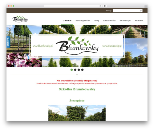 WordPress theme Blumkowsky - blumkowsky.pl