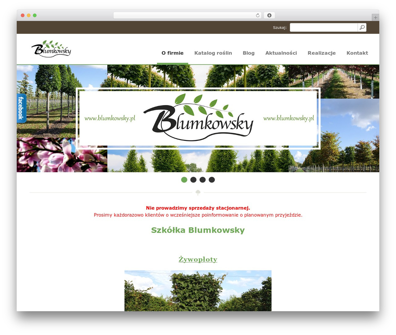 WordPress theme Blumkowsky - blumkowsky.pl WordPress theme Blumkowsky - blumkowsky.pl