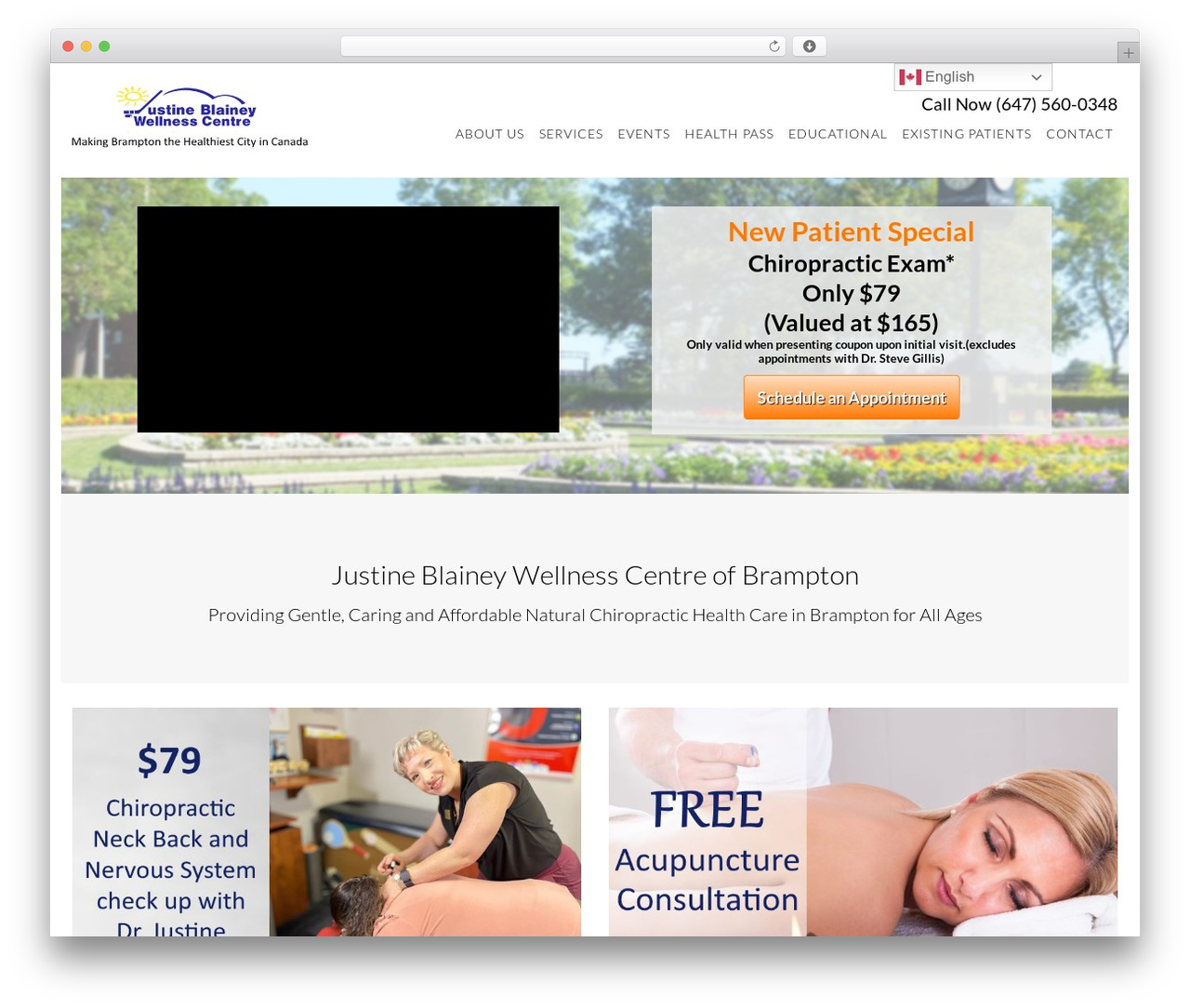 WordPress theme Dentist Theme - blaineywellness.com