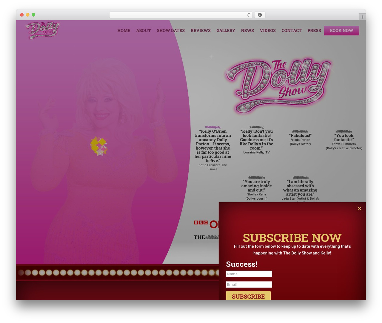 WordPress theme Divi - thedollyshow.com