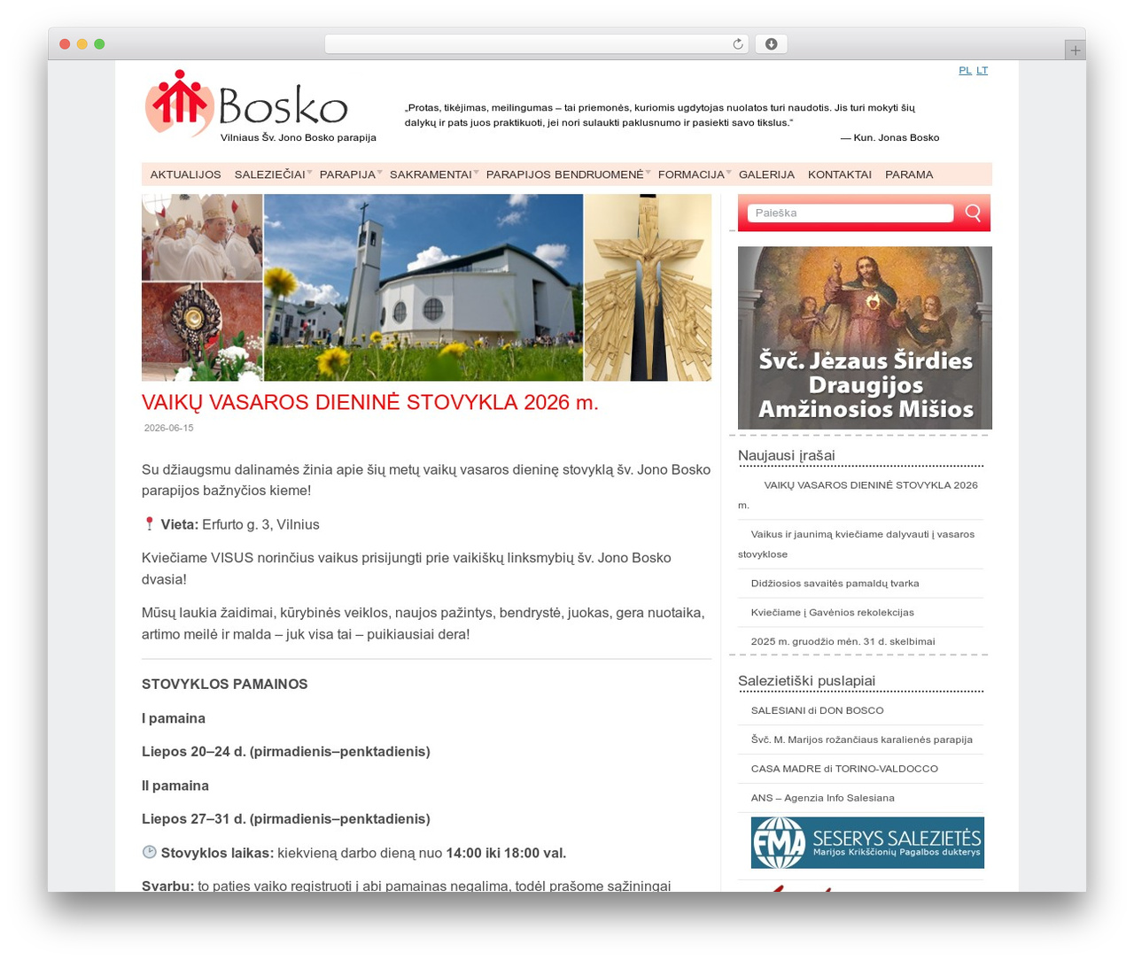 Delicate WordPress theme - bosko.lt