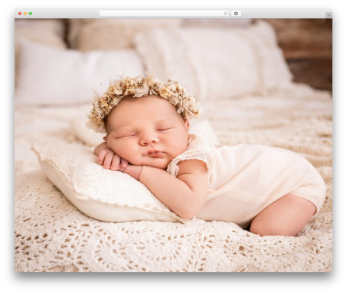 Pt weddphy addons WordPress plugin - photosterner.de