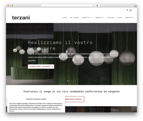 WordPress theme Divi - terzaniceramiche.com